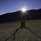 Bristlecone Pine Sunset